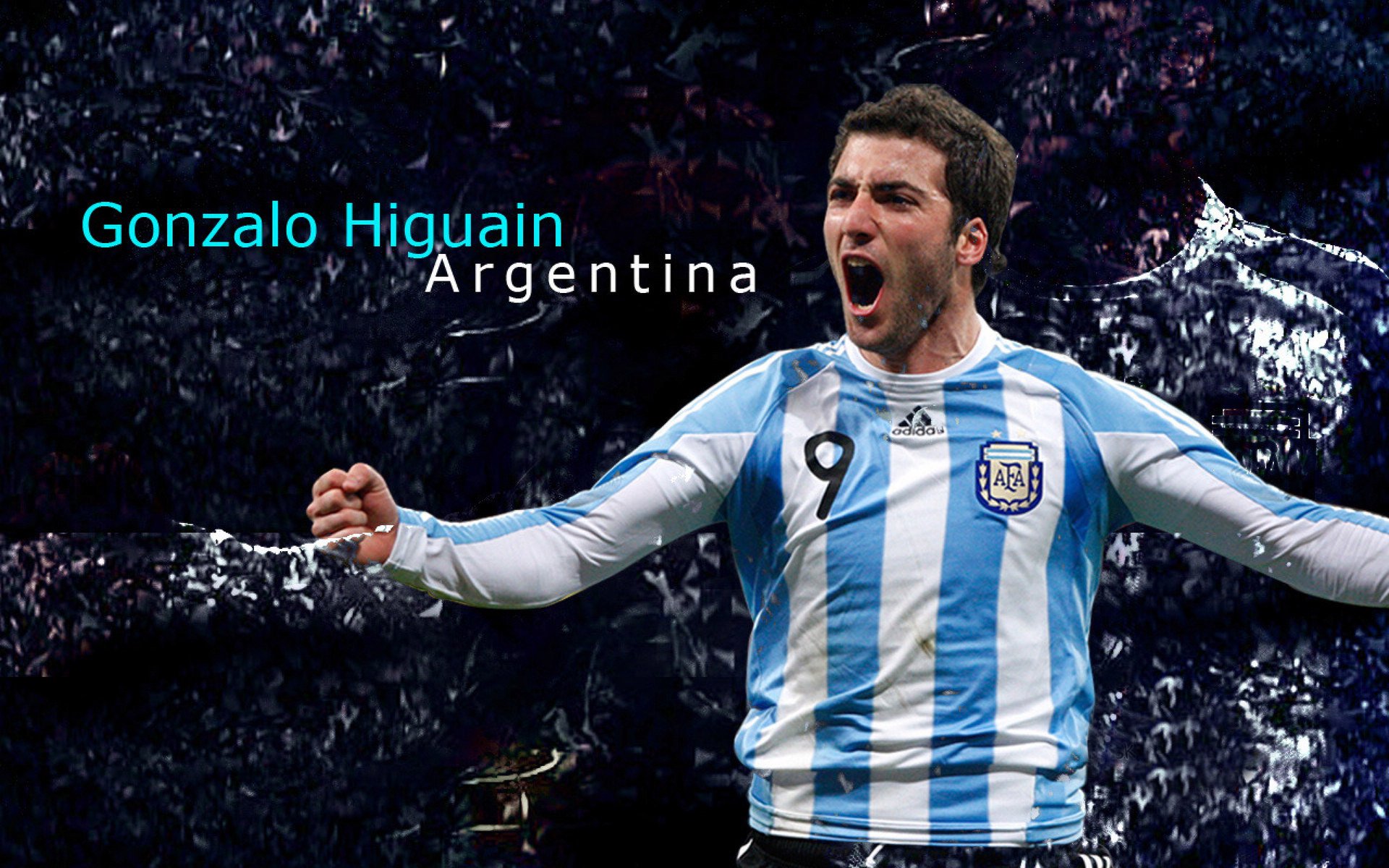 从伤病到重生，运动员康复之路的艰辛与希望【壹号娱乐下载】