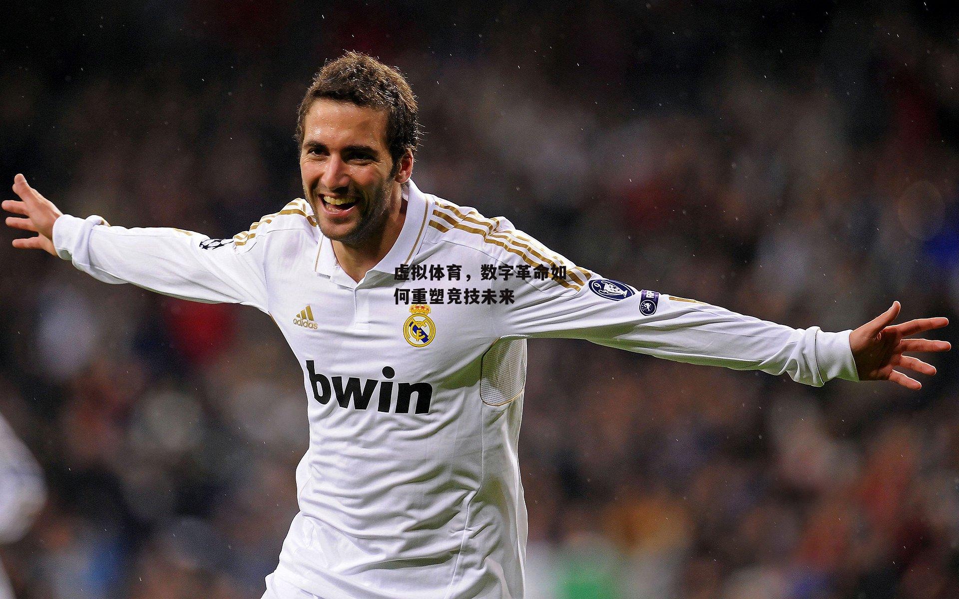 壹号娱乐_虚拟体育，数字革命如何重塑竞技未来