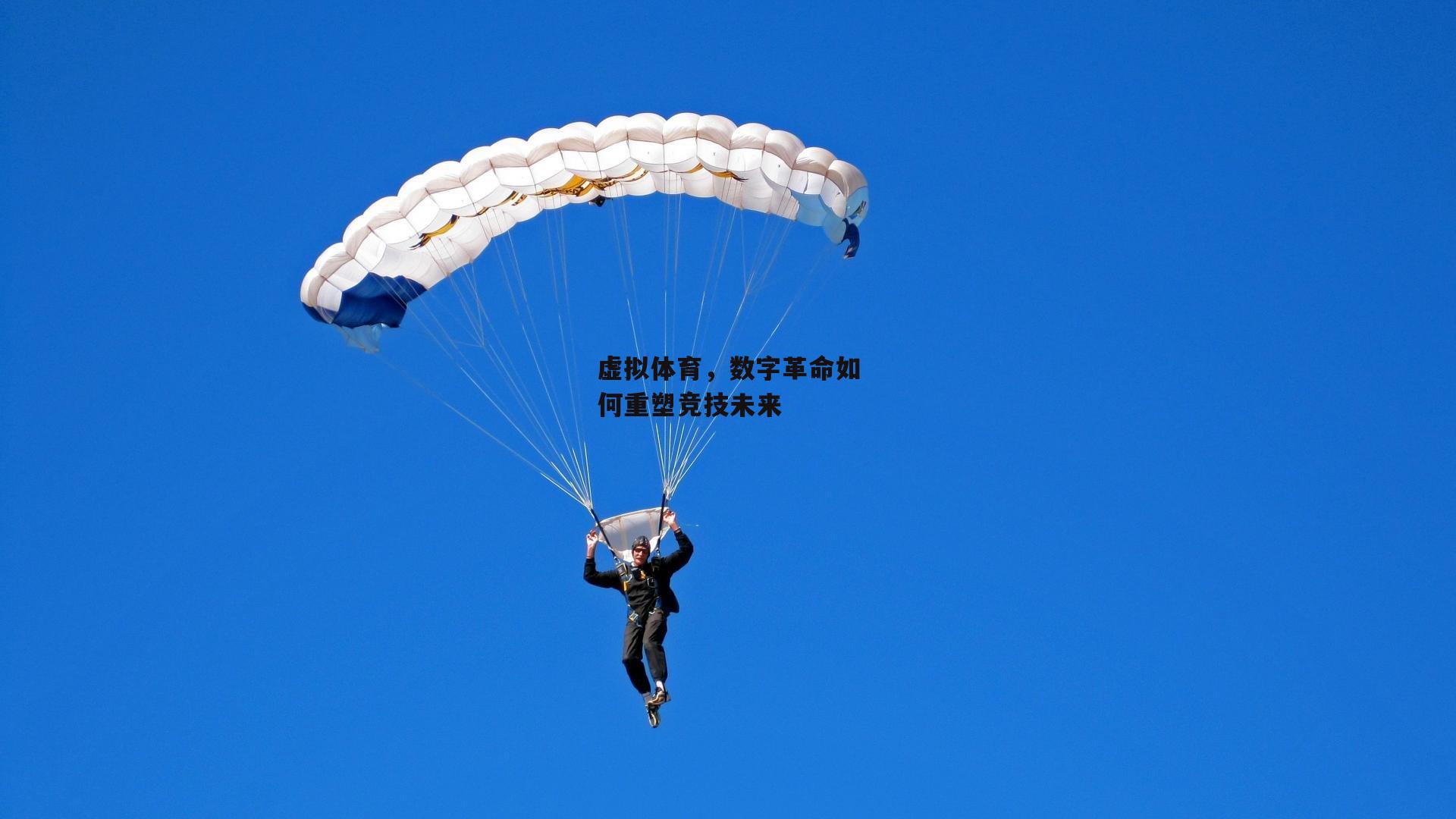 虚拟体育,数字革命如何重塑竞技未来